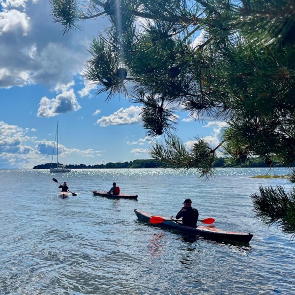 DesignKayaks Social Paddling Club tur til Fænø Kalv