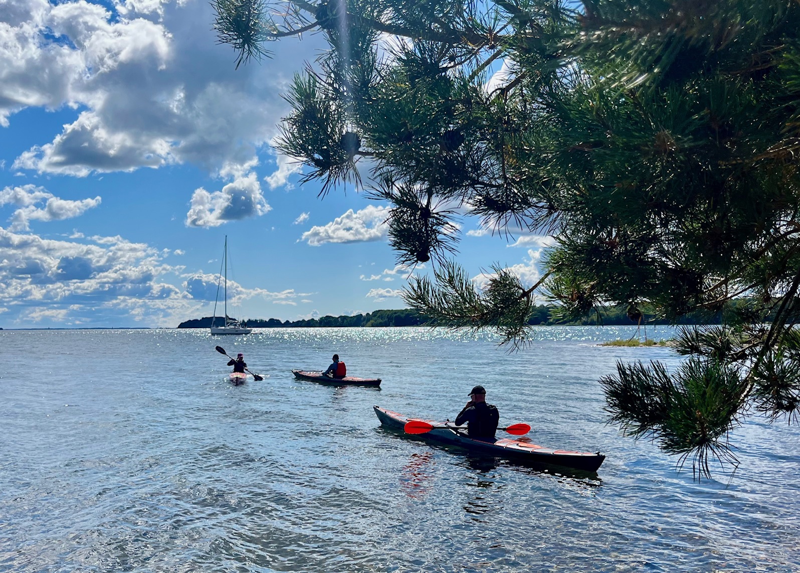 DesignKayaks Social Paddling Club tur til Fænø Kalv