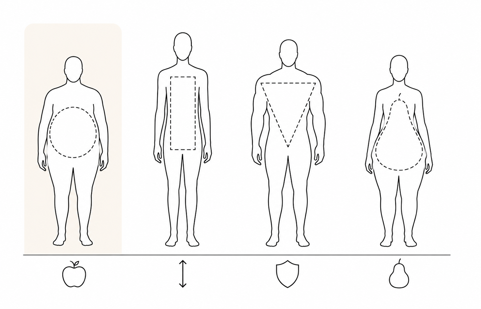 Illustration af kropstyper til kajak æbleform er fremhævet