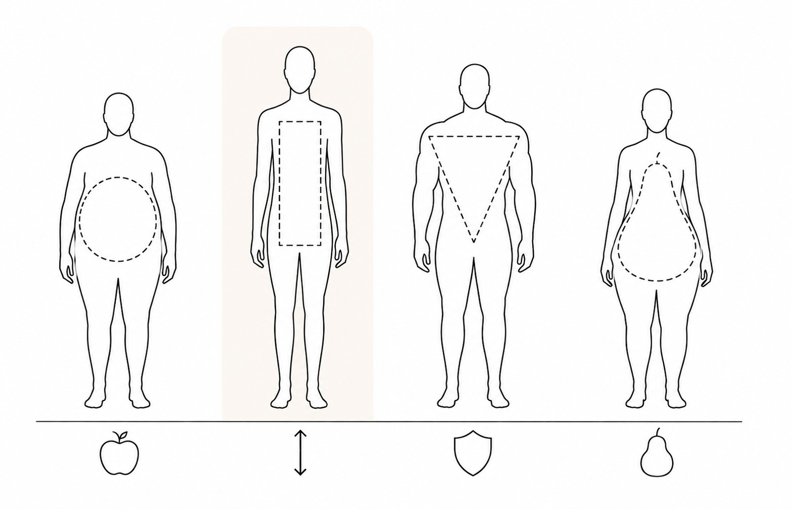 Illustration af kropstyper til kajak høj og tynd er fremhævet