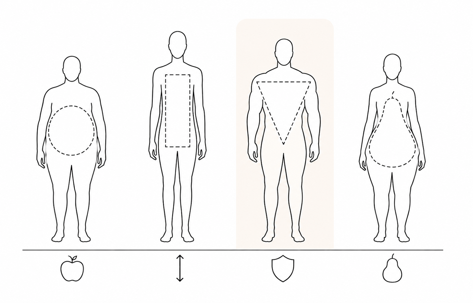 Illustration af kropstyper til kajak muskuløs er fremhævet